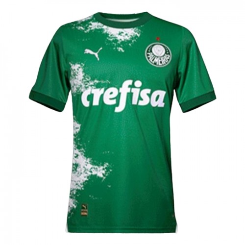 Maillot de Foot Palmeiras Special Edition 2024 Verte Maillot de Foot Palmeiras Special Edition 2024 Verte